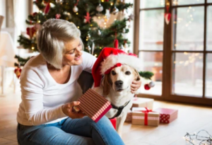 Fordeler ved å Gi Hunden en Julekalender